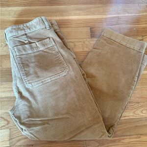 Everlane Tan Corduroy Cropped Pants